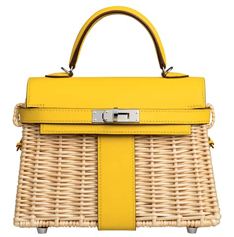 hermes mini kelly picnic bag|Hermes birkin and kelly bags.